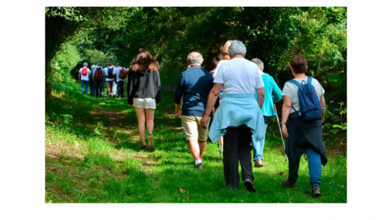 Opération « Voilà l'été, si on bougeait ?»                    Visio Conférence introductive                                le mardi 18 juin 2024